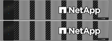 NetApp FAS Series